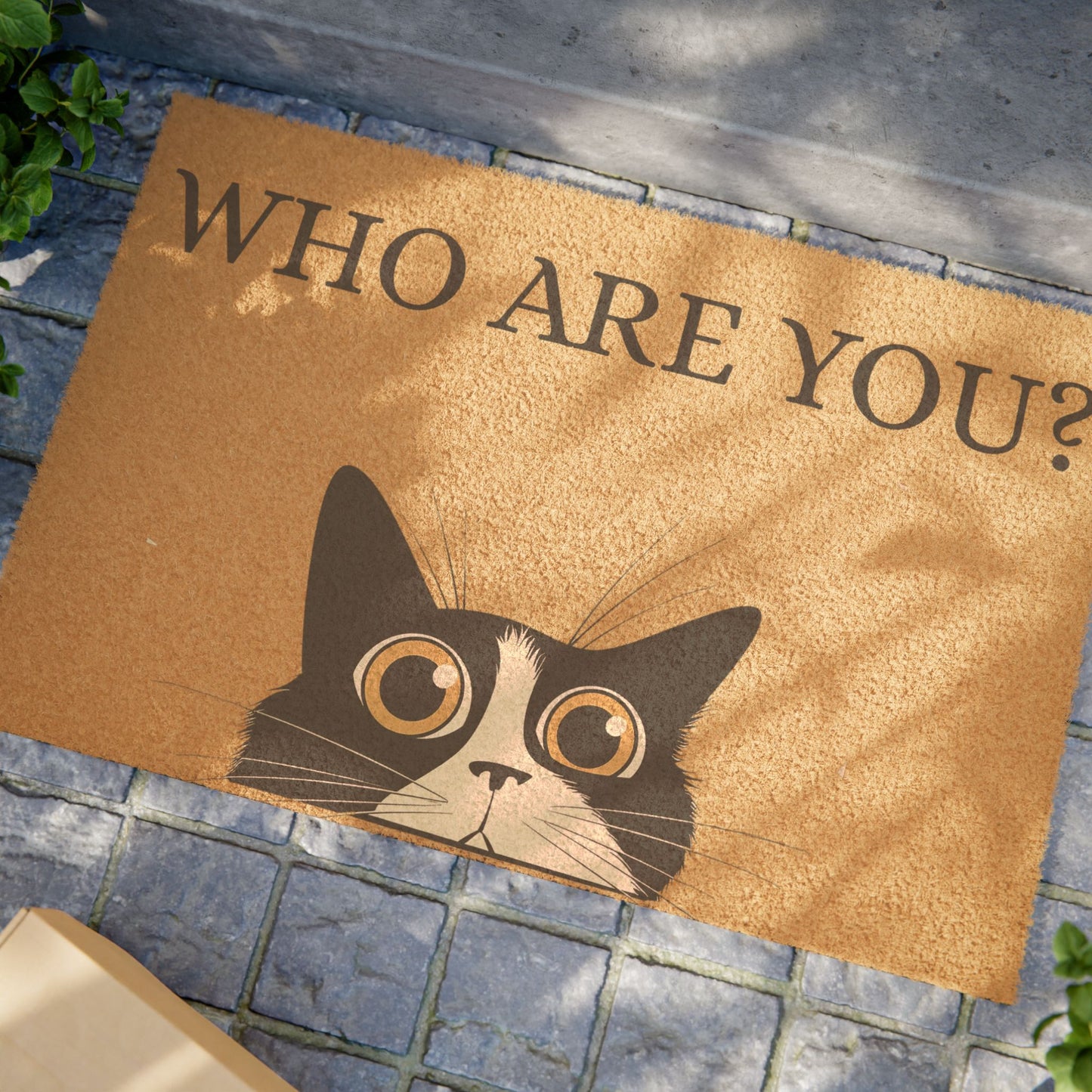 Curios Cat Doormat