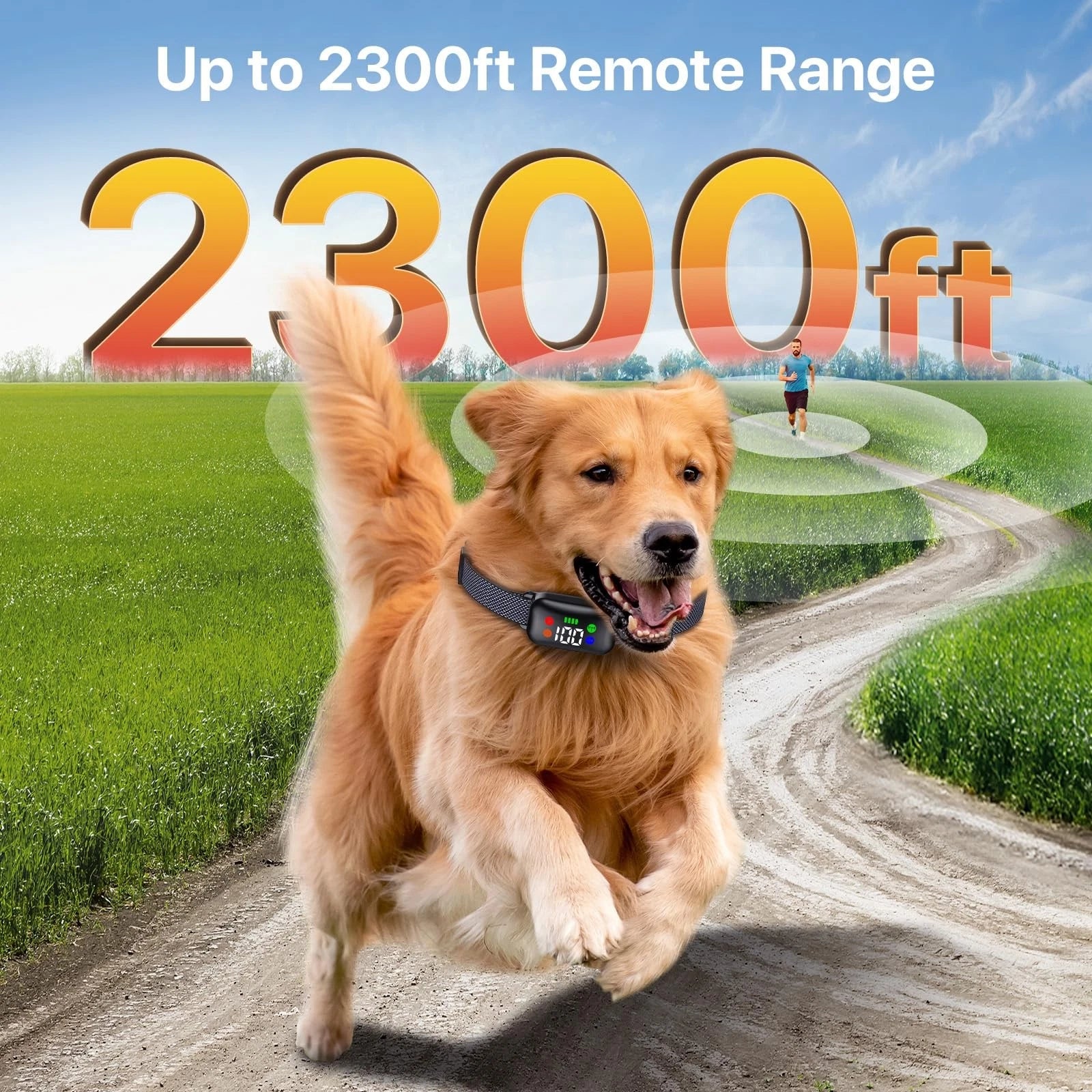 Dog Training Collar, Shock Collar with Remote Control for Large, Black