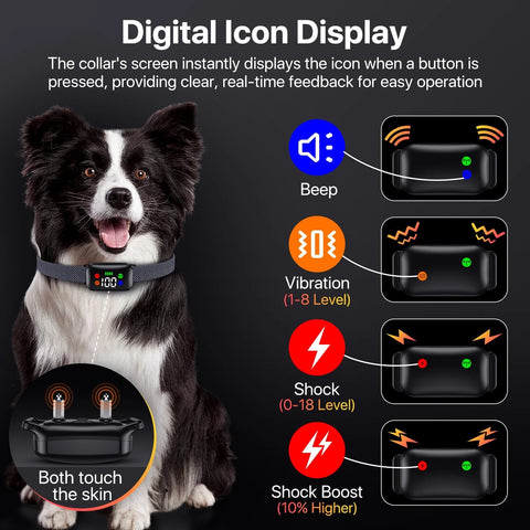 Dog Training Collar, Shock Collar with Remote Control for Large, Black